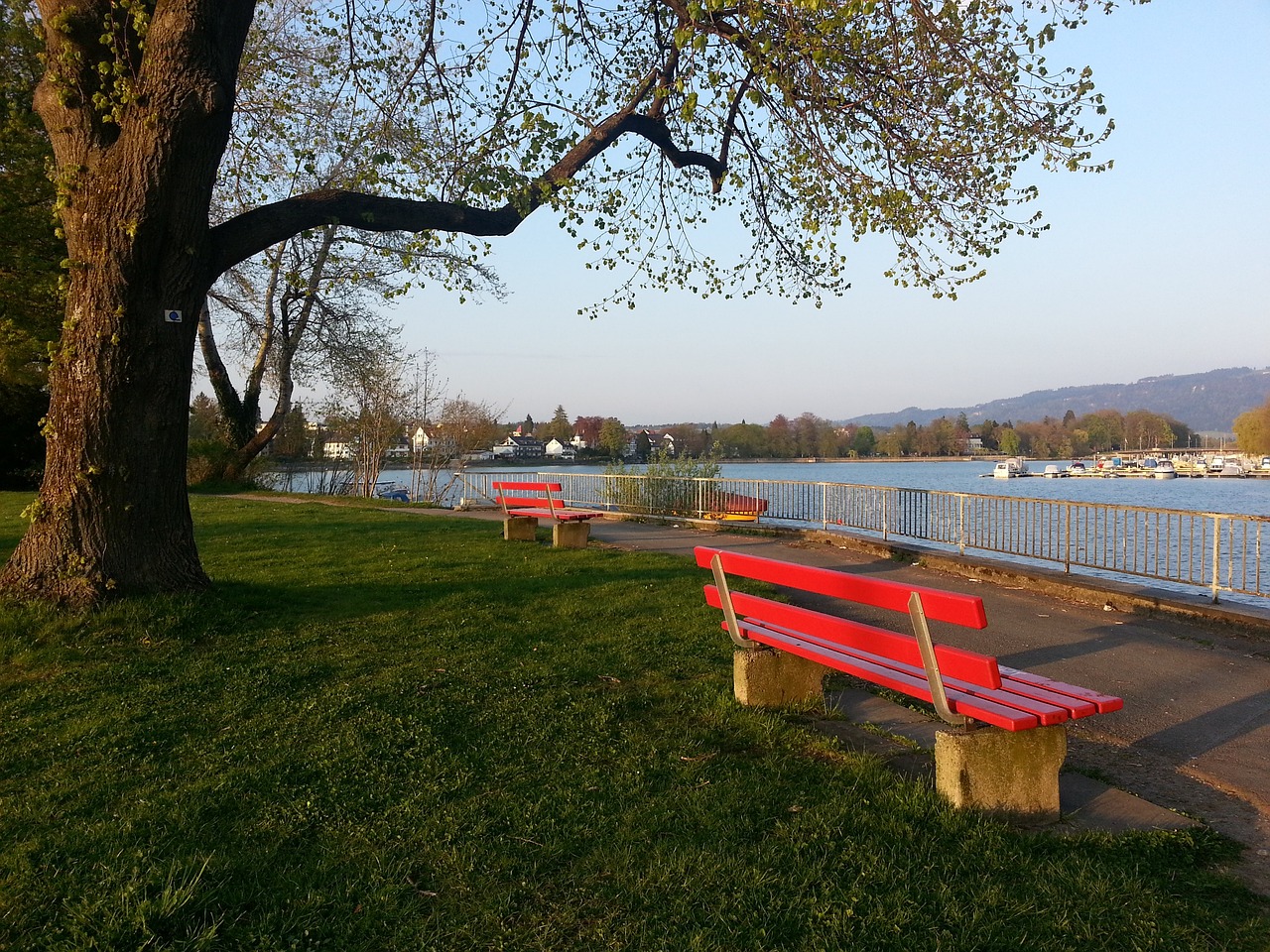 随着足球赛 随着足球赛