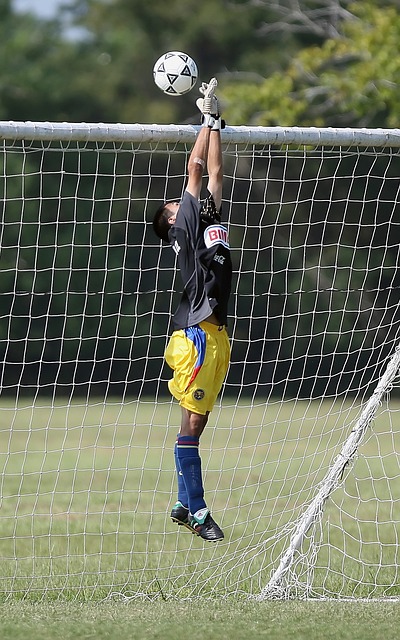 从而为球队 从而为球队